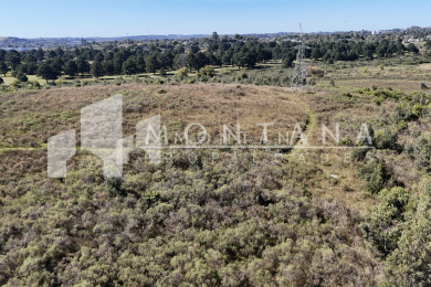 DJI_20260418110547_0020_D