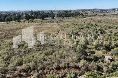 DJI_20260418110626_0022_D