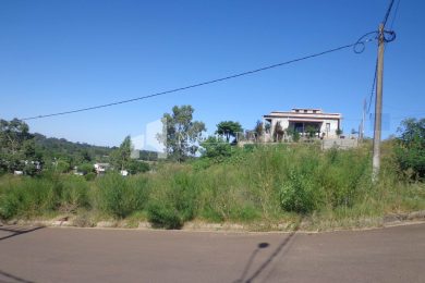 DSC03539