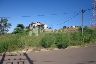 DSC03540