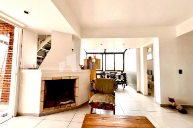 WhatsApp Image 2025-11-24 at 11.57.01 (2)