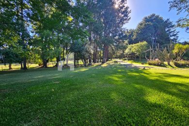 WhatsApp Image 2025-12-04 at 18.31.34