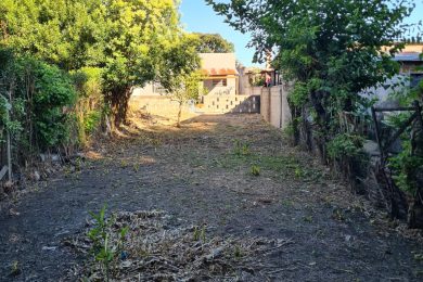 WhatsApp Image 2025-12-05 at 12.13.21